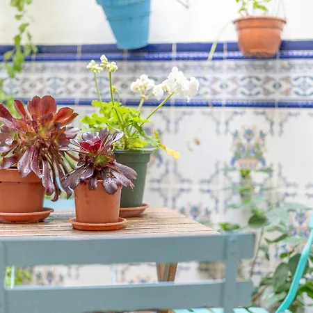 ホテル Brisas - Old Town